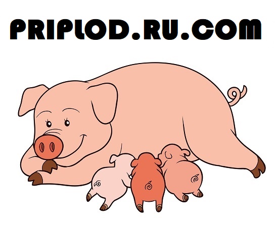 PRIPLOD.RU.COM